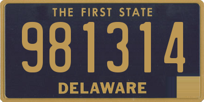 DE license plate 981314