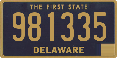 DE license plate 981335