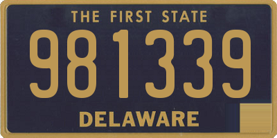 DE license plate 981339