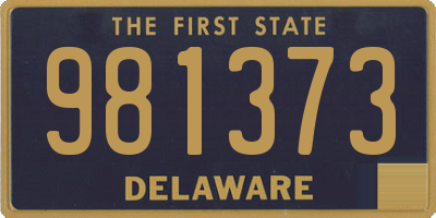 DE license plate 981373