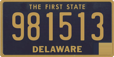 DE license plate 981513