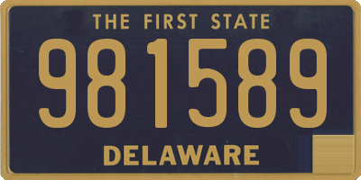DE license plate 981589