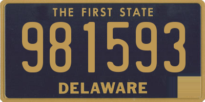 DE license plate 981593