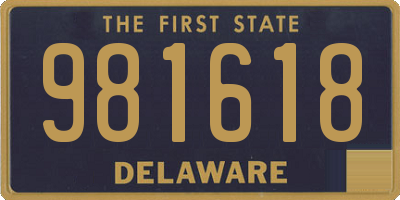 DE license plate 981618