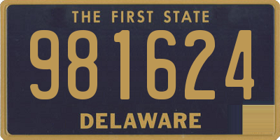 DE license plate 981624