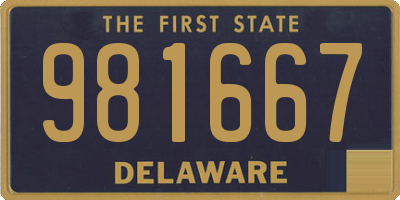 DE license plate 981667