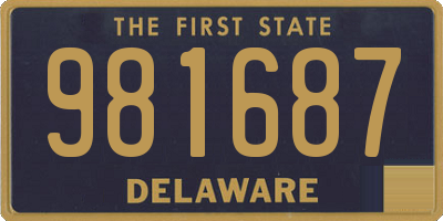 DE license plate 981687