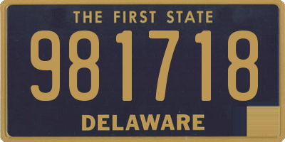 DE license plate 981718