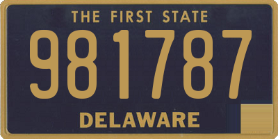 DE license plate 981787
