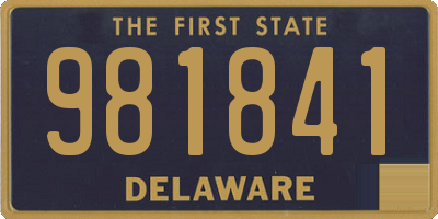 DE license plate 981841