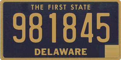 DE license plate 981845