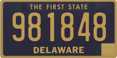 DE license plate 981848