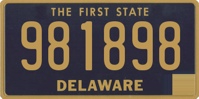 DE license plate 981898