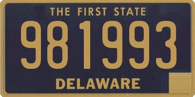 DE license plate 981993