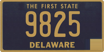 DE license plate 9825