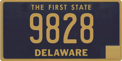 DE license plate 9828