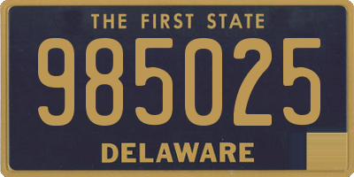 DE license plate 985025