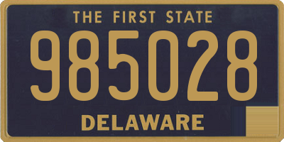 DE license plate 985028