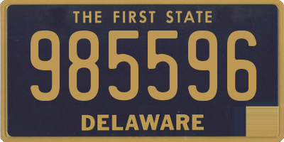 DE license plate 985596