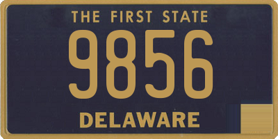 DE license plate 9856