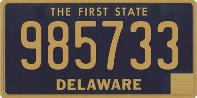 DE license plate 985733