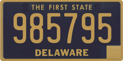 DE license plate 985795