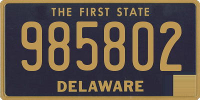 DE license plate 985802