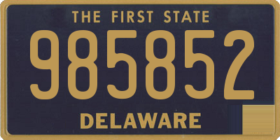 DE license plate 985852