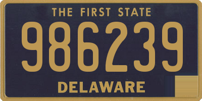 DE license plate 986239