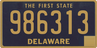 DE license plate 986313