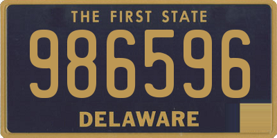 DE license plate 986596