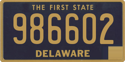 DE license plate 986602