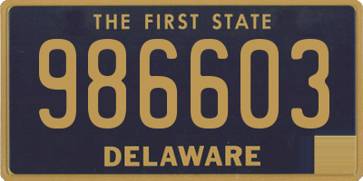 DE license plate 986603