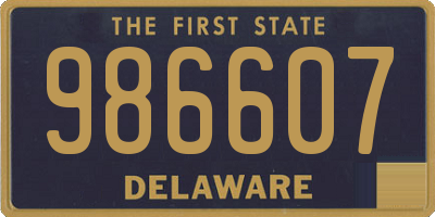 DE license plate 986607