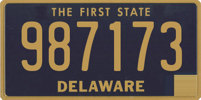 DE license plate 987173