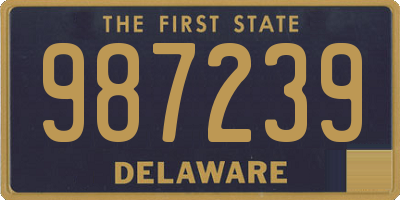 DE license plate 987239