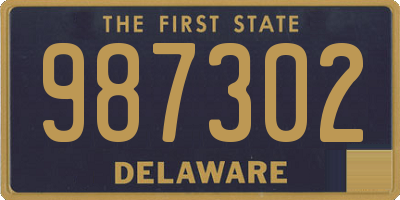 DE license plate 987302
