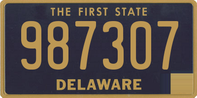 DE license plate 987307