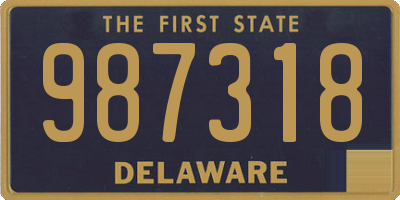 DE license plate 987318