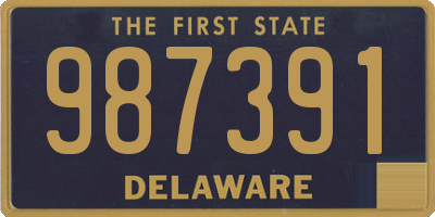 DE license plate 987391