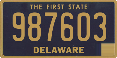 DE license plate 987603