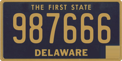 DE license plate 987666