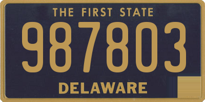 DE license plate 987803