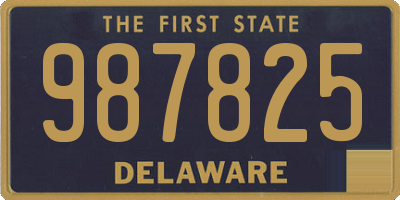 DE license plate 987825