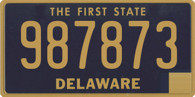 DE license plate 987873