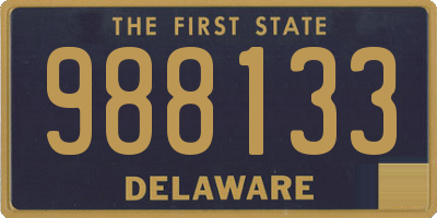 DE license plate 988133