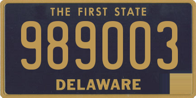 DE license plate 989003