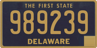 DE license plate 989239