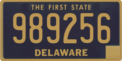 DE license plate 989256