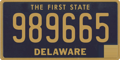 DE license plate 989665
